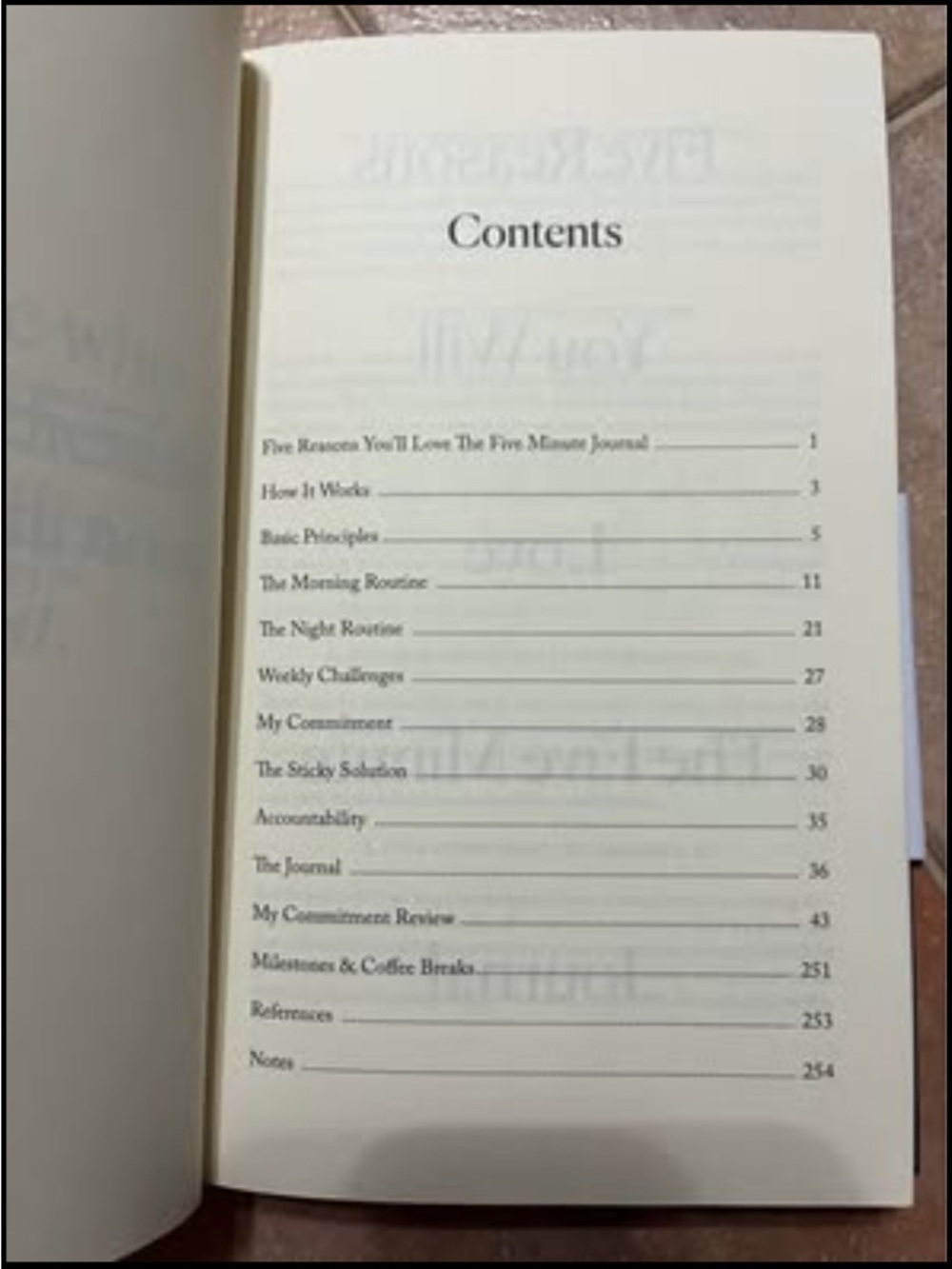5 minute Journal - Picture 3 of 4